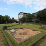 飛ノ台史跡公園博物館で貝塚を見た