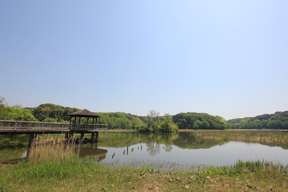 21世紀の森と広場 ピクニック ザリガニ釣り 竪穴式住居 ノーマルブログ