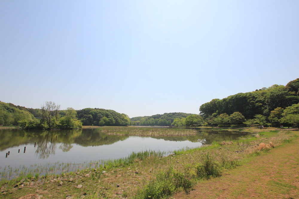 21世紀の森と広場 ピクニック ザリガニ釣り 竪穴式住居 ノーマルブログ