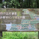 千葉県立船橋県民の森青少年キャンプ場で森キャンプ（無料）