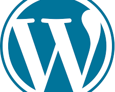 WordPress4.8管理画面にカラーピッカーを設置する方法
